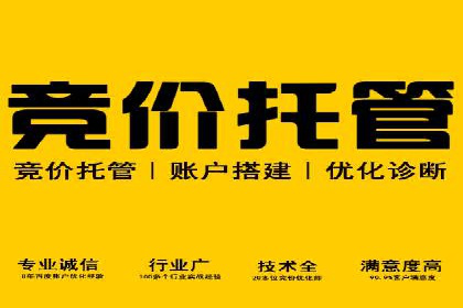 案例分析：竞价代运营如何实现精准用户定位